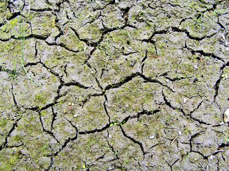 dry land with rift