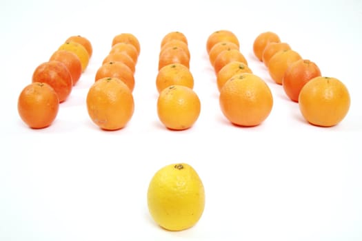 lemon and oranges on a white background symbolizing teamwork, leadership............