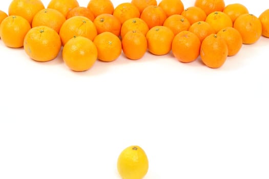 lemon and oranges on a white background symbolizing confrontation............