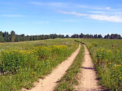 RURAL ROAD ON FIELD