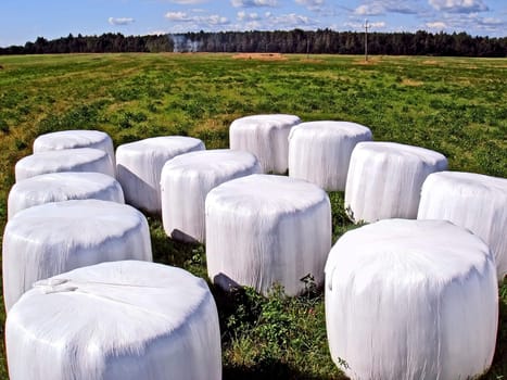 packed hay on field