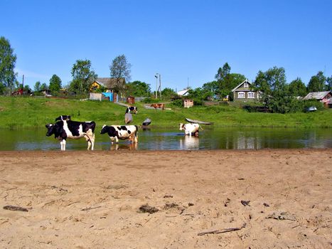 small village near river