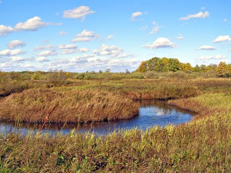 small river on yellow autumn field