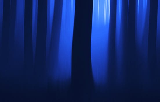 Blue hour in the wood - motion blur. Film grain added.