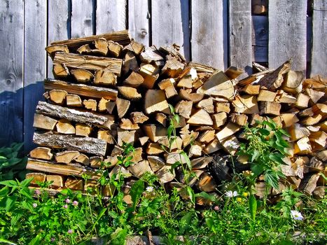 firewood near wooden wall