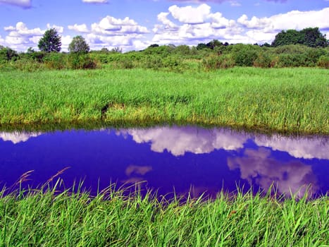 small river on field