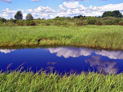 small river on field