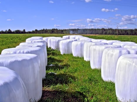 stacks hay