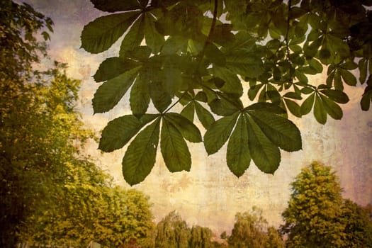 Artistic work of my own in retro style - Postcard from Denmark. - Chestnut leaves in the park.