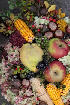 Autumn Harvest