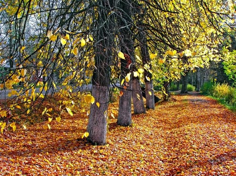 autumn park