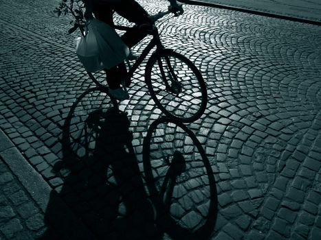 Late male cyclist with rose on his way home - Denmark.