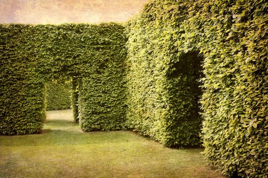 Artistic work of my own in retro style - Postcard from Denmark. - High hedges exit.