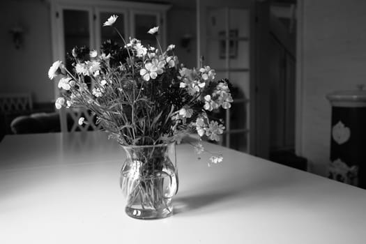Beautiful spring summer flowers in a glass vase in a living room black and white monochrome image