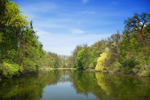 Forest lake under blue cloudy sky 