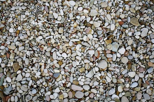 Seashore at the Adriatic Sea filled with small beautiful flat pebbles.