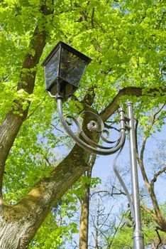 Old Fashioned Street Light against a background of trees