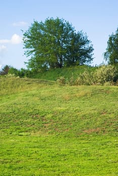 Landscape - green fields, the blue sky and white clouds