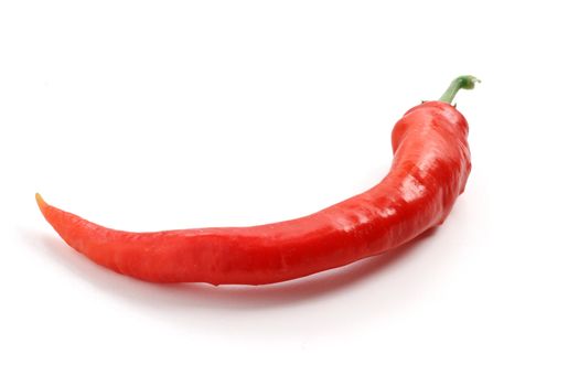 one hot chili pepper over white background