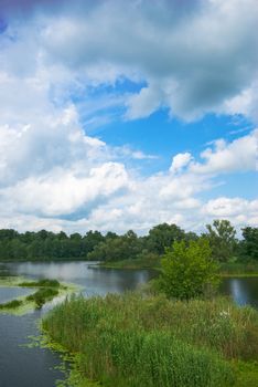 beautiful Forest lake under blue cloudy sky 