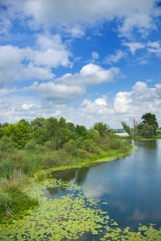 beautiful Forest lake under blue cloudy sky 