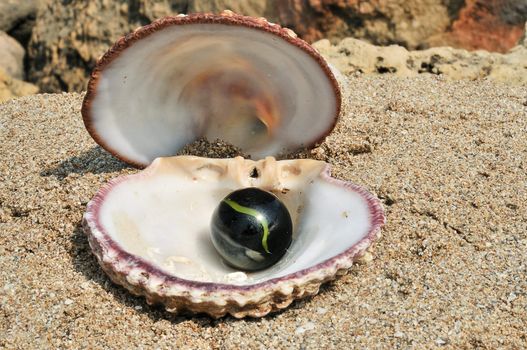 Seashell lying on the sand and the inside is black glass ball