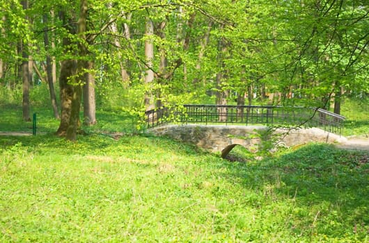 road which passes in the woods