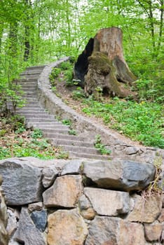 stairway which passes in the woods