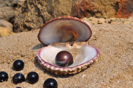 Seashell lay on the sand and a black ball inside the glass
and close by are a few small black balls