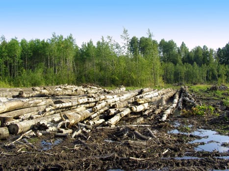 chopping wood