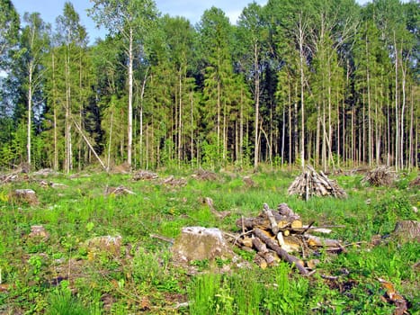 chopping wood
