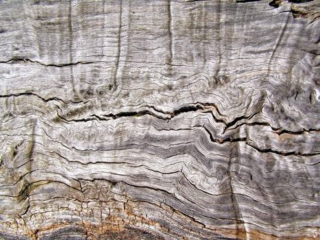 wood background