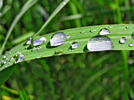 dripped rain on sheet