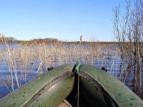 rubber boat amongst reed