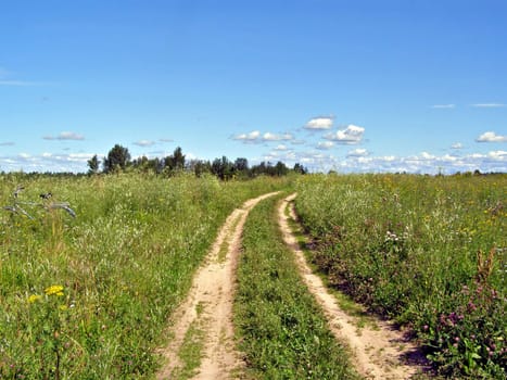 aging rural road through field