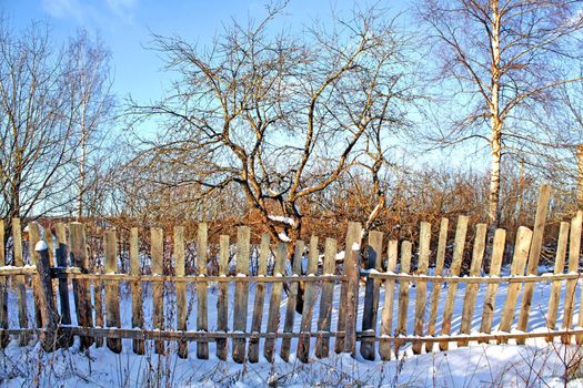 old fence in winter garden