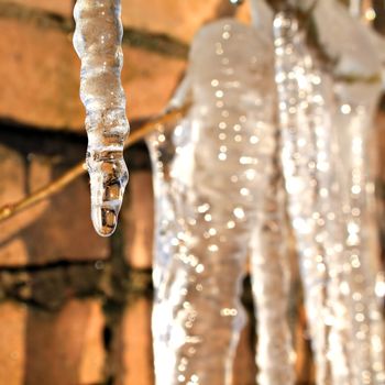 icicle
