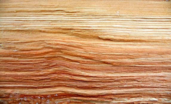 grunge wood background