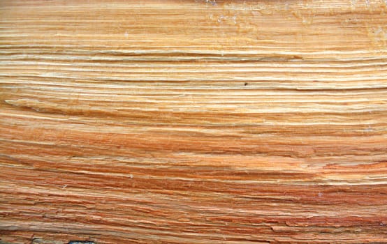 grunge wood background