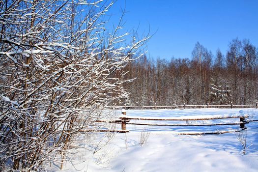 old fence