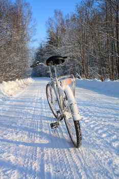 old bicycle on winter road