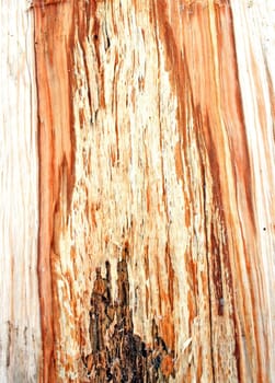 wood background