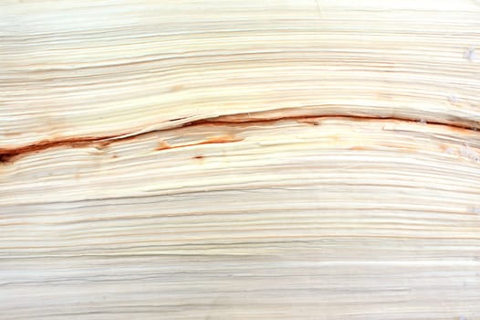 wood background