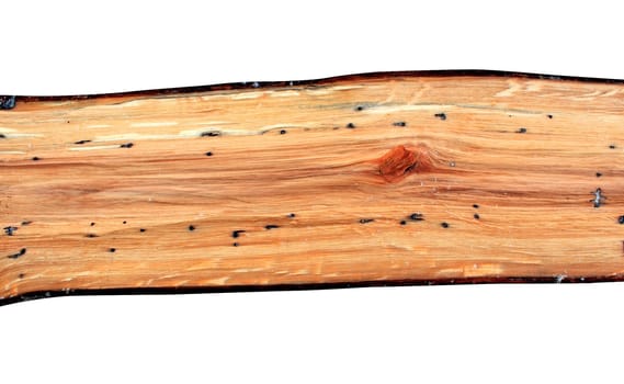 wood background