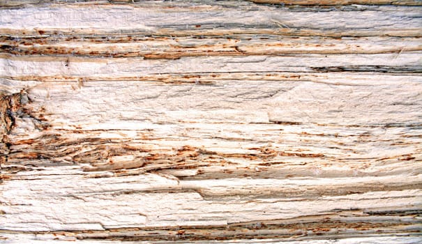 wood background