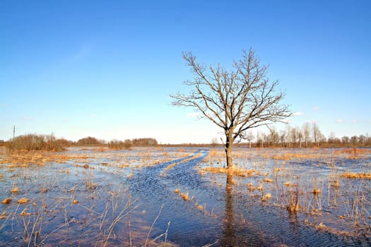 flood on river