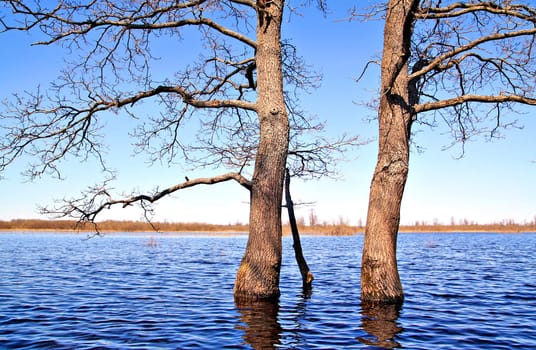 spring flood