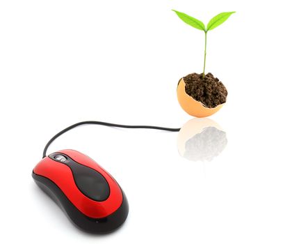 Pc mouse isolated on white with clipping path