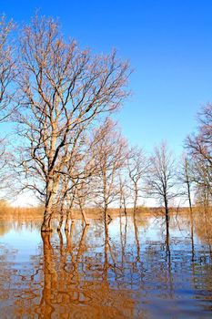 spring flood