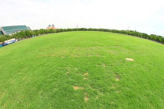 Green pasture and bright blue sky (with lens Fish eye)